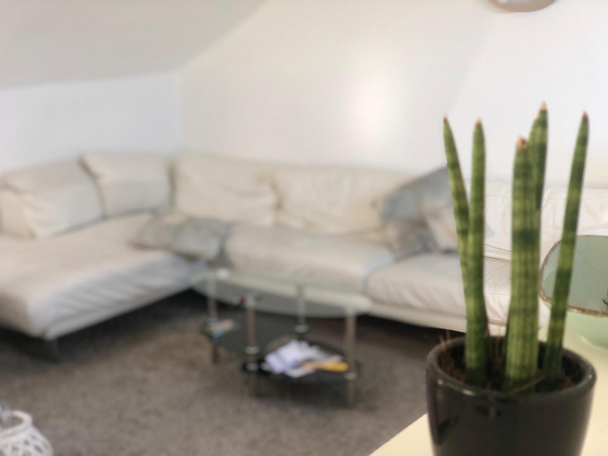 Caleva'S Bnb Pforzheim Dış mekan fotoğraf